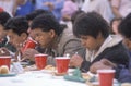 Latino men eating Christmas dinner at homeless shelter, Los Angeles, California