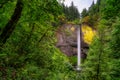 Latourell Falls in the Columbia River Gorge in Oregon Royalty Free Stock Photo