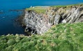 Latrabjarg Cliffs, Westfjords, Iceland Royalty Free Stock Photo