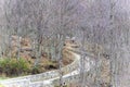 Lattari mountains, Amalfi coast, Salerno, Italy. view of the forest with road used for excursions, Royalty Free Stock Photo