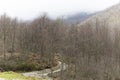 Lattari mountains, Amalfi coast, Salerno, Italy. view of the forest with road used for excursions, Royalty Free Stock Photo