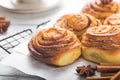 Latte or cacao and Cinnamon Bun for breakfast or break on white background. Cup of coffee and homemade buns Royalty Free Stock Photo