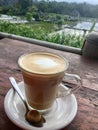Latte coffee. Green fields background. Bali Royalty Free Stock Photo