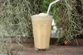 Latte frappe coffee in a coffee shop of natural ambient - refreshing and relaxation concept Royalty Free Stock Photo