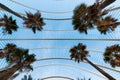 Nadir view of the lattice cover in palm tree garden of the `Umbracle` the Science City in Valencia