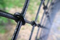 Lattice fence as the concept of deprivation macro photography as the background Royalty Free Stock Photo