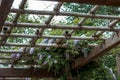 Lattice roof pergola in the japanese garden