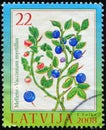 LATVIA - CIRCA 2008: stamp shows fruiting plant Bilberry (Vaccinium myrtillus), Wealth of Latvian forests serie Royalty Free Stock Photo