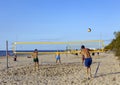 A group of young men playing beach volleyball on the sand in the dune zone near the Baltic Sea Royalty Free Stock Photo