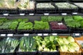 A variety of microgreens and other fresh green vegetables on supermarket shelves in Riga