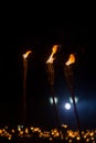 Latvian Lacplesa Day torchlight procession. Lighted torches Royalty Free Stock Photo