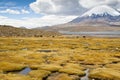Lauca National Park Royalty Free Stock Photo
