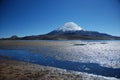 Lauca National Park - Chile Royalty Free Stock Photo