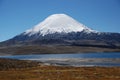 Lauca national Park - Chile