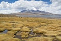 Lauca National Park, Chile Royalty Free Stock Photo