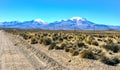 Lauca National park