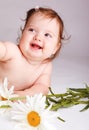 Laughing baby Royalty Free Stock Photo
