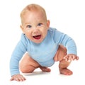 Laughing baby boy Royalty Free Stock Photo