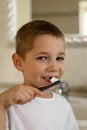 Laughing boy brushing his teeth in the bathroom. Prevention of childhood caries Royalty Free Stock Photo