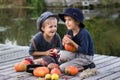 Laughing boys sitting with pumpkins and apples