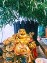 laughing buddha resting under a tree