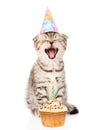 Laughing cat cat with birthday hat and cake. isolated on white Royalty Free Stock Photo