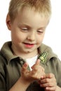 Laughing child. Butterfly sitting on the hand of a child. Child with a butterfly. Selective focus.