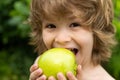 Laughing cute blond kid little child baby boy eating big apple fruit. Portrait on blurred background. Royalty Free Stock Photo