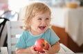 Laughing cute child eating apple. Cute baby eat apples. Portrait of cute smiling laughing Caucasian child kid sitting in Royalty Free Stock Photo