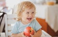 Laughing cute child eating apple. Cute baby eat apples. Portrait of cute smiling laughing Caucasian child kid sitting in Royalty Free Stock Photo