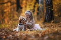 Laughing cute little girl playing with a dog in the autumn park Royalty Free Stock Photo