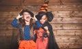 Funny children sister twins girl in witch costume in halloween Royalty Free Stock Photo