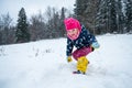 Laughing girl getting ready to start a fight with snow balls. Royalty Free Stock Photo
