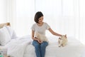 Laughing jocund young asian woman sitting on bed in bedroom with her maltese dog on knees and white Shiba Inu Japanese pedigree Royalty Free Stock Photo