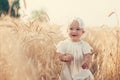 Laughing kid in sunny wheat field