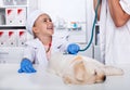 Laughing little girl playing veterinary doctor - examining her puppy dog at the animal healthcare facility