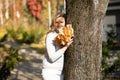 Laughingblond woman, picking up, holding bunch of golden foliage yellow leaves maples in two hands, decorate blur. Close Royalty Free Stock Photo