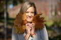 Laughingblond woman, picking up, holding bunch of golden foliage yellow leaves maples in two hands, shadow blur. Close Royalty Free Stock Photo