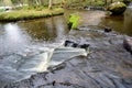 Laulasmaa waterfalls Royalty Free Stock Photo