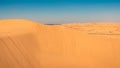 ATV tracks throughout the sand dunes at Glamis, California