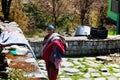 Laundresses dry their Laundry on stones in the Himalayas Royalty Free Stock Photo