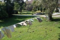 Laundry on a clothes line Royalty Free Stock Photo