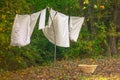 Laundry on the clothesline in front of the summer woods. Royalty Free Stock Photo