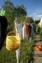 Laundry hanging on washing line to dry Garden sunlight Royalty Free Stock Photo