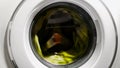 Laundry process in washing machine household appliance, hypoallergenic detergent