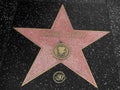 Laura Dern Star on Hollywood Walk of Fame