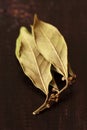 Laurel bay leaves. Royalty Free Stock Photo