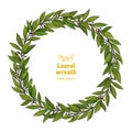 Green Laurel Bay green leaves Wreath Royalty Free Stock Photo