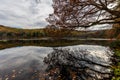 Laurel Lake Recreational Area in Pine Grove Furnace State Park i