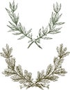 Laurel and oak branches Royalty Free Stock Photo